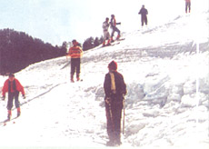 Kufr Skiing