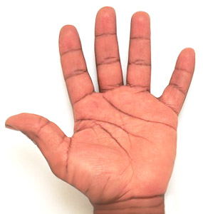 Hand on The Square Hand  Indian Palmistry