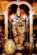 Lord Sri Venkateswara - Tirupati