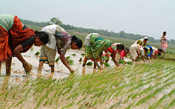 Farming or agriculture in Indian villages has been the principal 