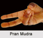 Pran Mudra