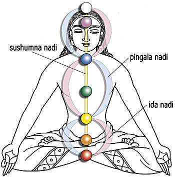 and is Purana knowledge important  the nadi to Nadi  Chakra kurma  according Agni an