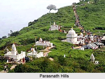 Home > Travel > States of India > Jharkhand > Parasnath Hills