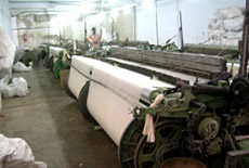 Cotton textile