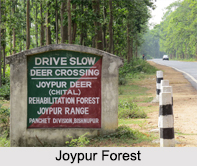 Joypur Forest, West Bengal