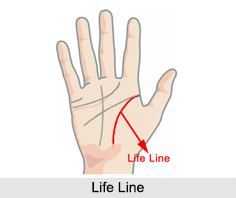 Life Line in Palmistry