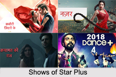 Programs Broadcast by Star Plus