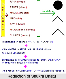 Shukra Dhatu