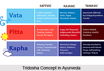Physiology of Ayurveda