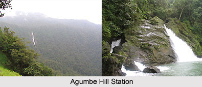 Agumbe Hill Station, Karnataka