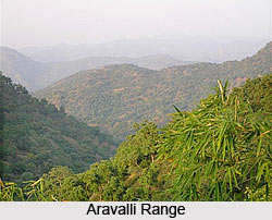 Flora and Fauna of Rajasthan