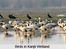 Nature Tourism in Punjab, Punjab Tourism
