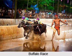 Traditional Games in Kasargod, Kerala