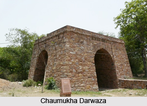North Indian Gates