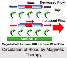 Effect of Magnets on Human Body