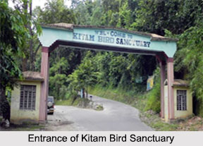 Kitam Bird Sanctuary, South Sikkim district, Sikkim