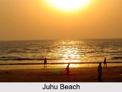 Beaches in Mumbai, Beaches of India
