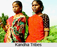 Culture of Kandhamal District