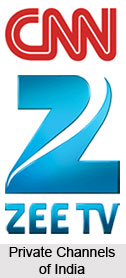 Private Television in India, Indian Television