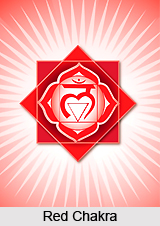 Grounding the Mooladhara Chakra