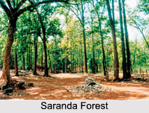 Saranda Forest, Jharkhand, Tourism in Jharkhand