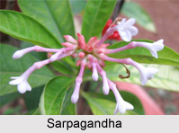 Flora And Fauna Of Uttar Pradesh