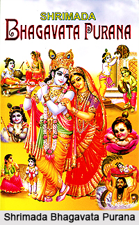 Puranic Texts, Indian Purana