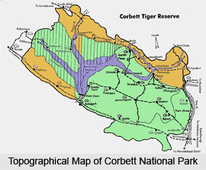 Jim Corbett National Park