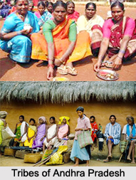 Tribes of Andhra Pradesh