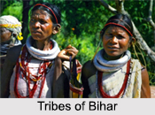 Tribes of Bihar, East Indian Tribes