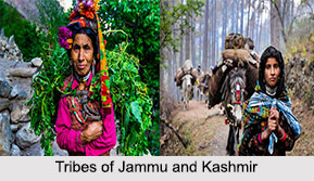 Tribes of Jammu and Kashmir
