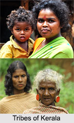 Tribes of Kerela