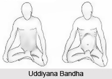 Technique Of Uddiyana Bandha