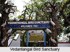 Tourism in Kanchipuram
