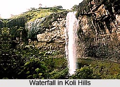 Kolli Hills, Tamil Nadu