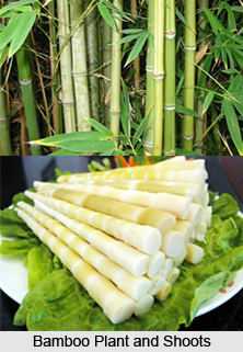 Mesu Pickle, Cuisine of Sikkim