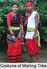 Mishing Tribes, Tribes of Assam