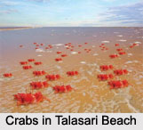Talasari Beach, Odisha