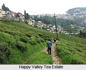 Darjeeling Tea Estates