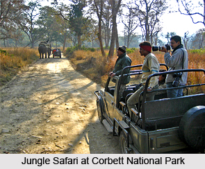 Jim Corbett National Park