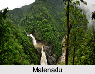 Forests in Western Ghats Mountain Range in India