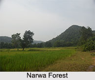 Ghatshila, Purbi Singhum District, Jharkhand