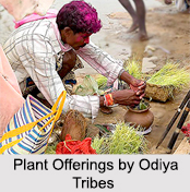 Religious Life of Indian Tribes