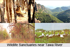 Tawa River