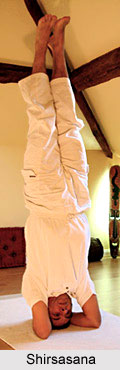 Yoga for Bronchitis, Yoga and Health