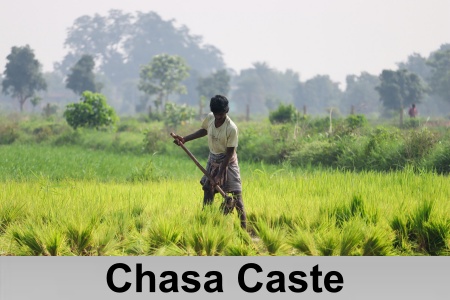 Chasa Caste