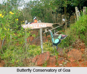 Butterfly Parks in India