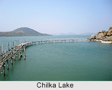 Indian Water Bodies
