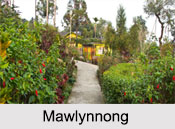 Tourism in Shillong, Shillong