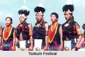 Festivals of Phek District